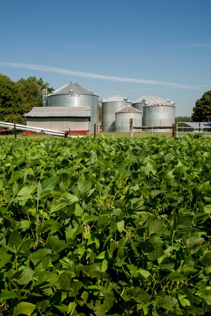 pexels-nc-farm-bureau-mark-2889412